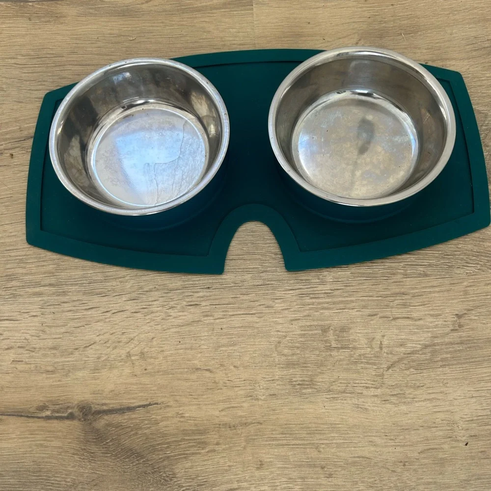 PETCO Every Yay Teal Silicone Double Puppy Stainless Steel Bowls